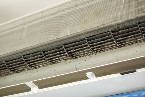 Best HVAC Duct Inspection Services  in Milpitas, CA